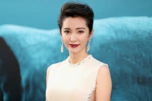 Li Bingbing actress