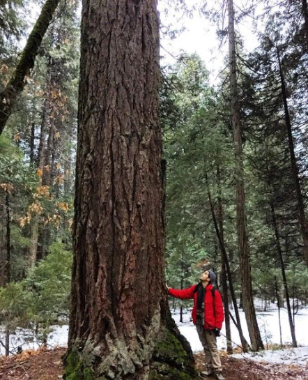 Issac at Yosemite National Park