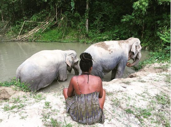 Lashana At Phuket Elephant Sanctuary