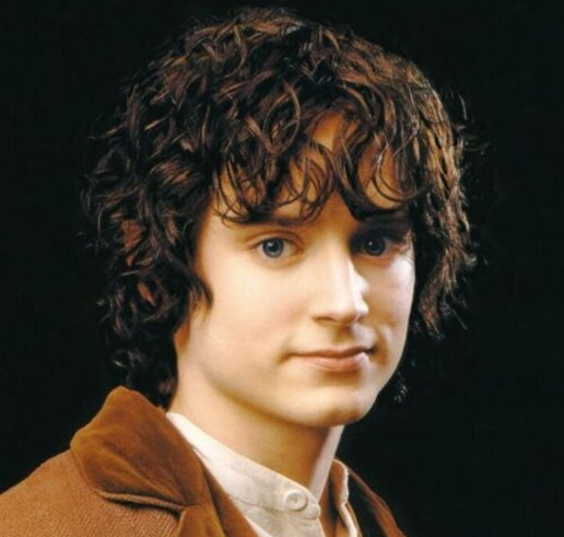 Elijah Wood as Frodo